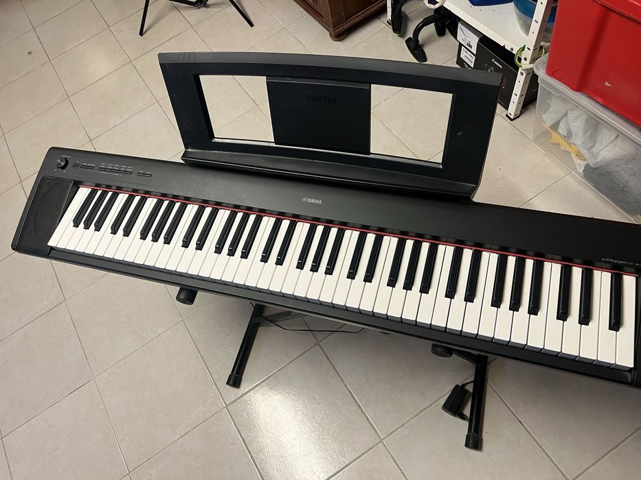 Yamaha Piaggero NP-32