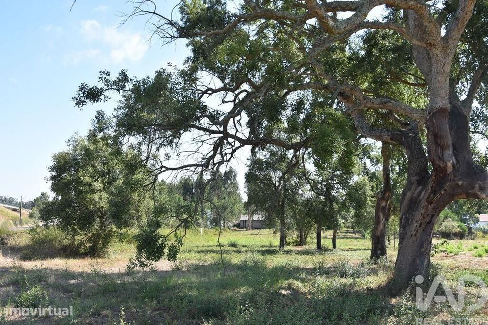 Terreno para construção em Amor de 2619,00 m2