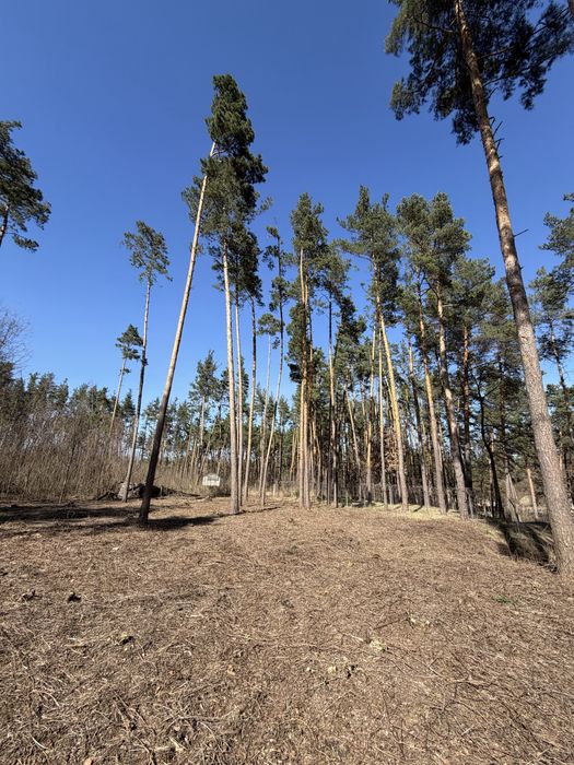 Продаж ділянок КМ Нова Ходосівка 8-10 соток с. Ходосівка Новообухівська траса всі комунікаціі МегаМаркет Alfresco