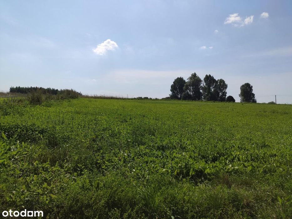 Działka Z Widokiem Na Jezioro