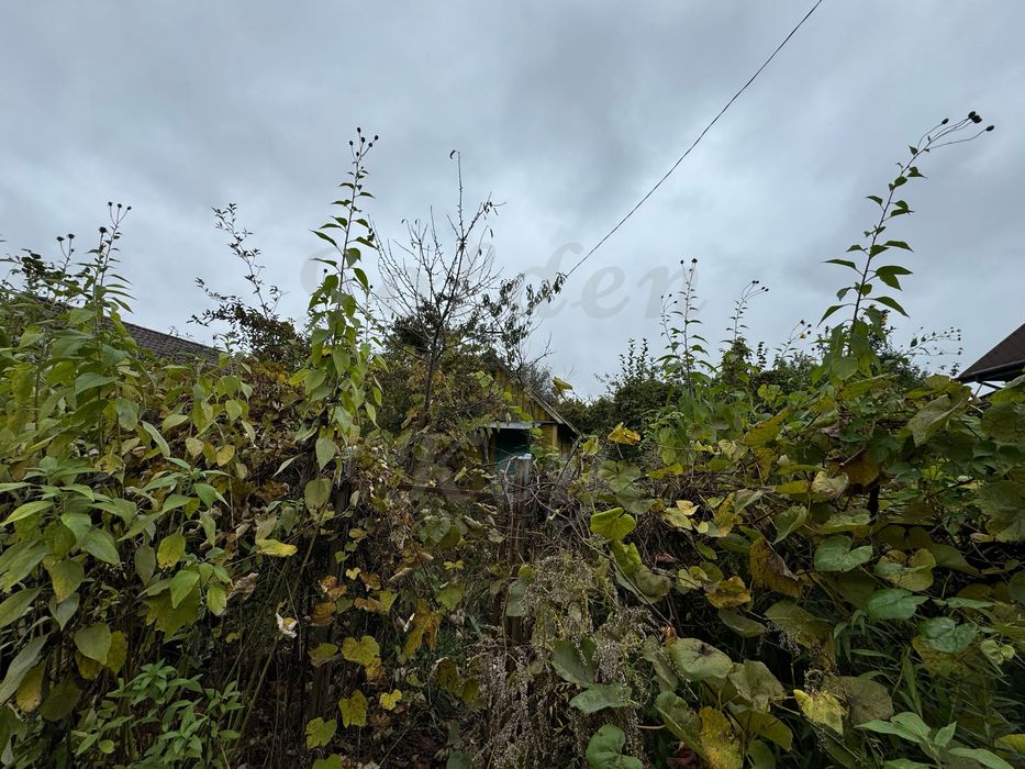 Продам Земельну Ділянку 6 сотих,розміри 20*30,СТ АГРО, с.Чубинське