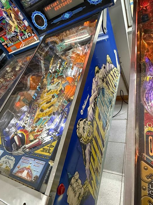 Flipper - Pinball White Water – Marca Williams (1993)