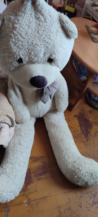 Oddam miśka ogromny biały