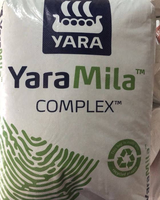 Черенки  живці лохини10 сортів.Саджанці лохини