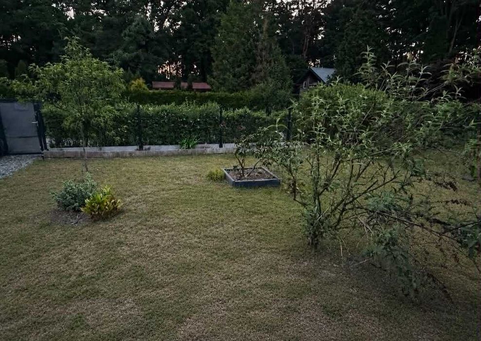 Zadbana działka ROD 350 m² z murowanym domkiem | Gotowa od zaraz - Widok 4