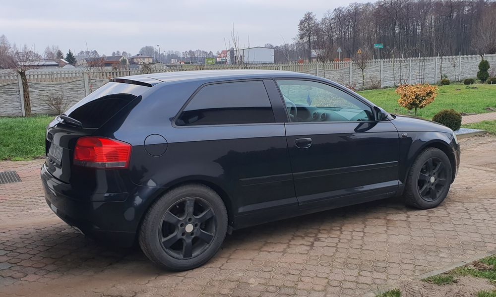 Audi A3 8P 1.9 tdi BKC