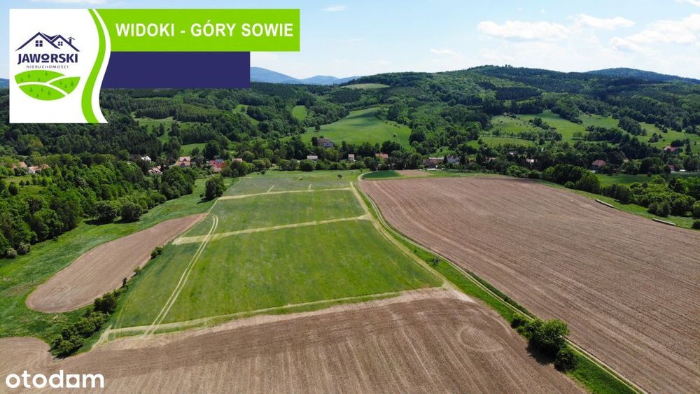 Działki budowlane w Dziećmorowicach - woda miejska - Widok 2