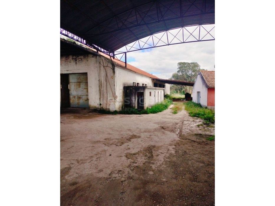 Armazém em Pegões Montijo