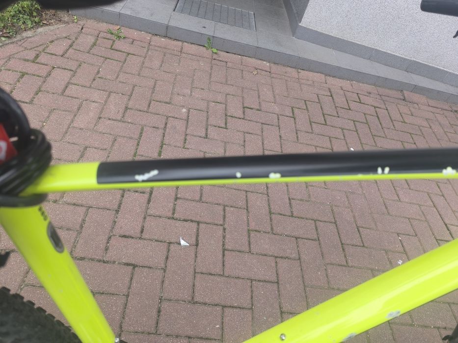 Rower scot scale 970