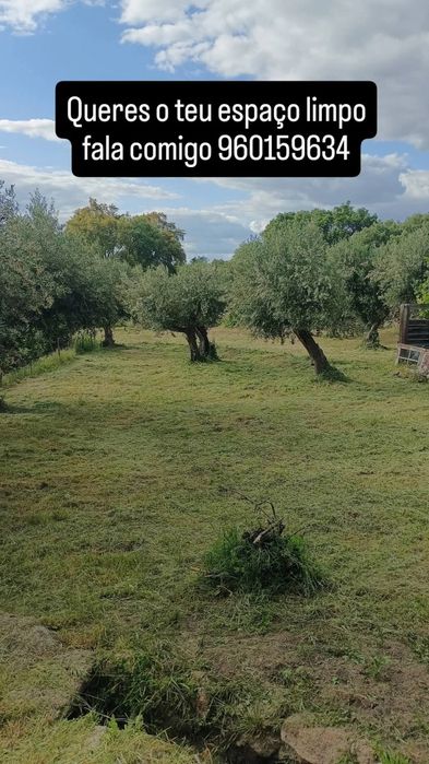 Limpeza de terrenos