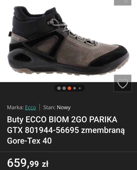 Buty ECCO BIOM 2GO parika GTX. Rozmiar 42, wkładka 27,5 cm.