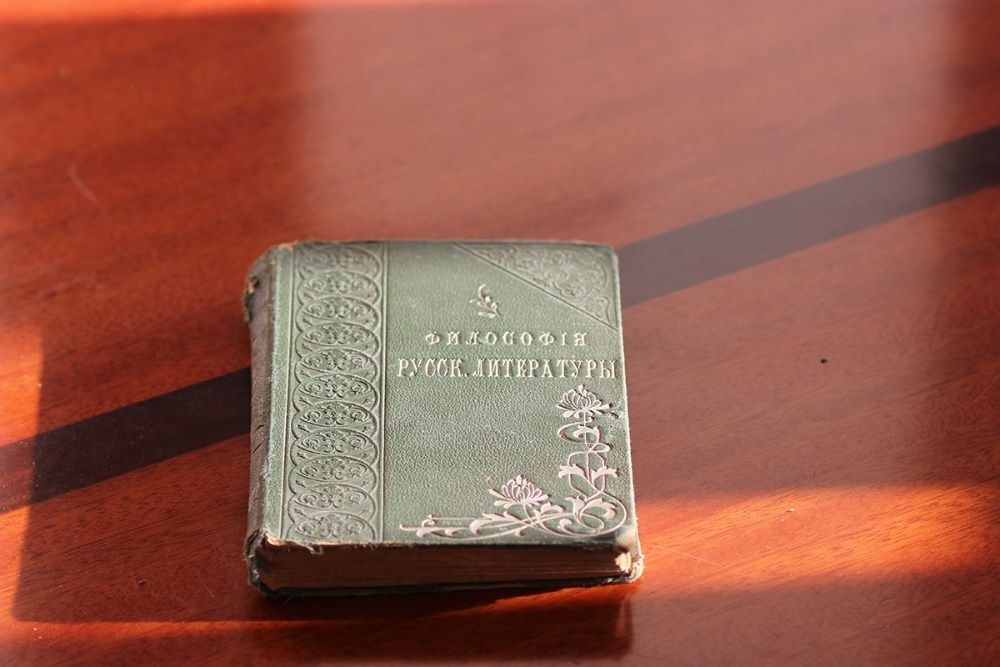 Опыт философии русской литературы 1905 Андреевич