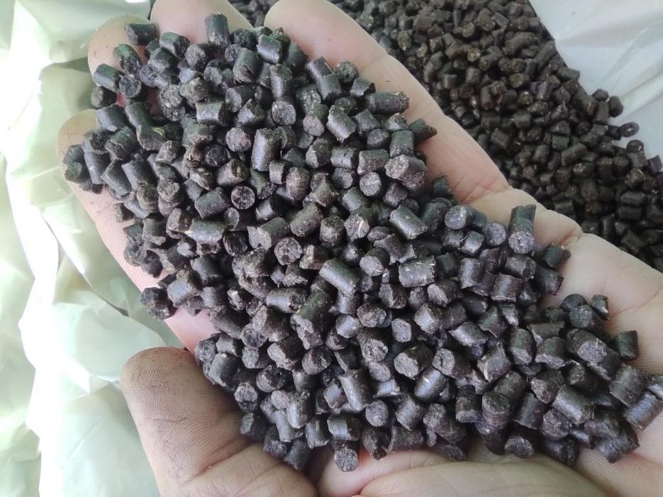 Корм для риб високої якості