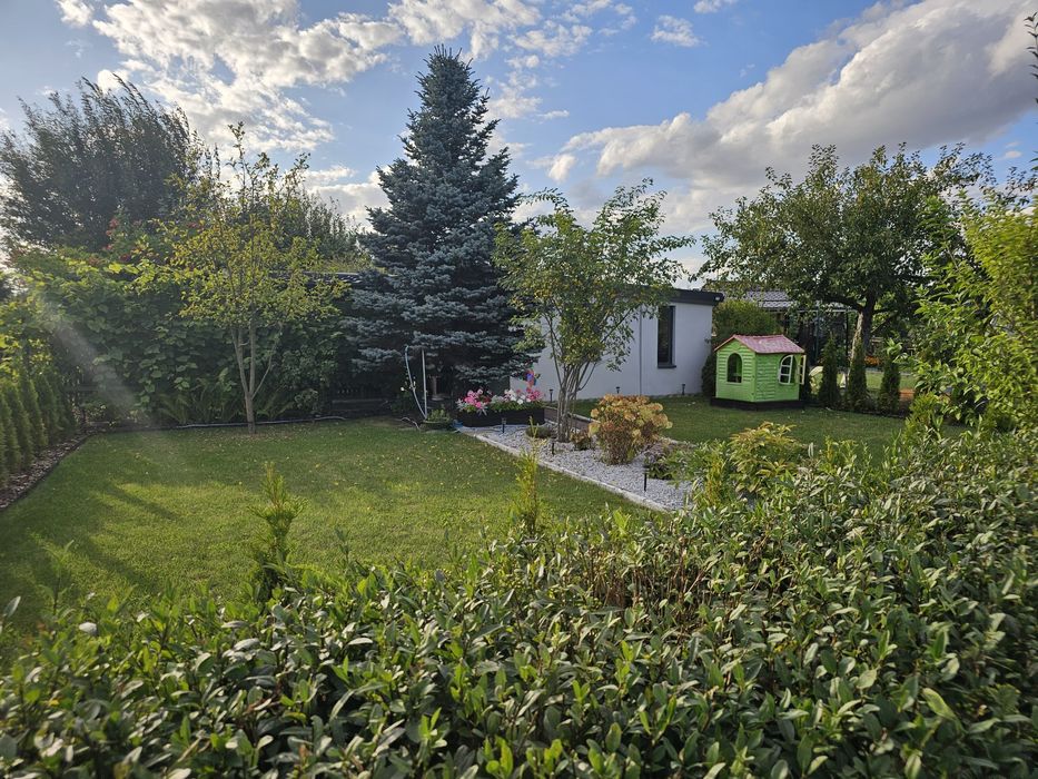 Działka ROD Szymona Wachowiaka 300m2 Wągrowiec