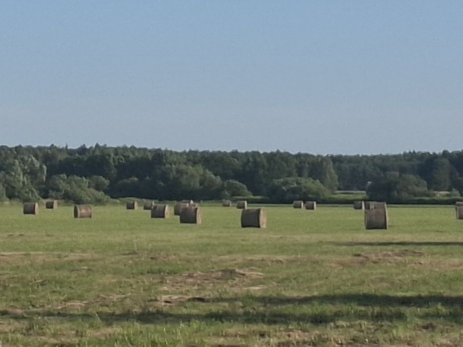 Sprzedam łąkę 2.72ha