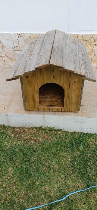 Casota cachoro medio porte