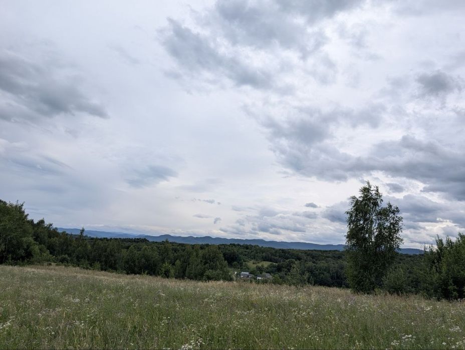 Продаж ділянки під будівництво в горах (Косівський р-н)