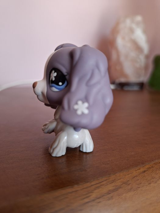 Lps pet shop piesek spaniel