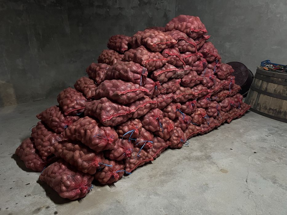 Batata Manitou, saco 20 kg