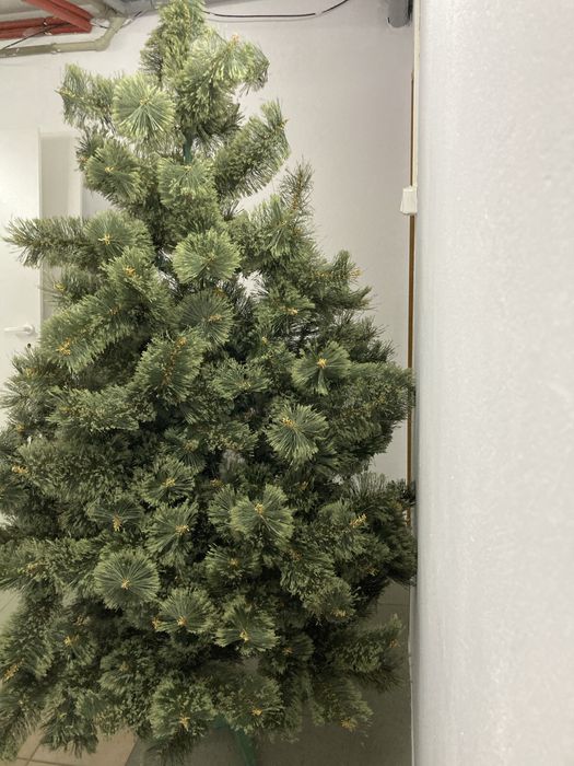 Choinka używana ładna