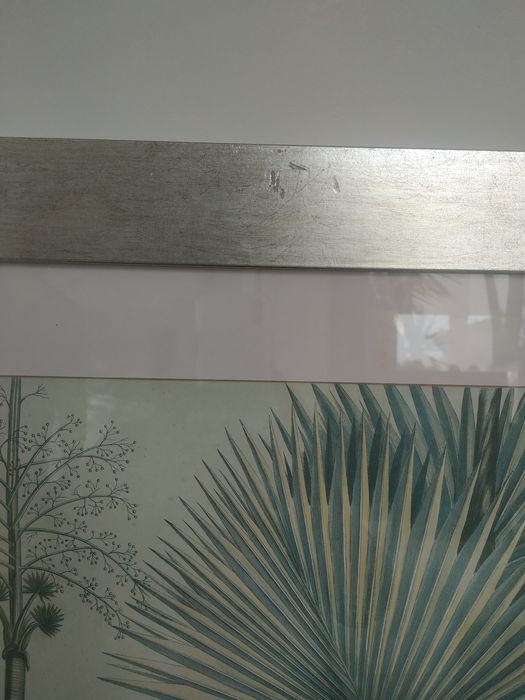 Gravuras sobre o tema palmeiras