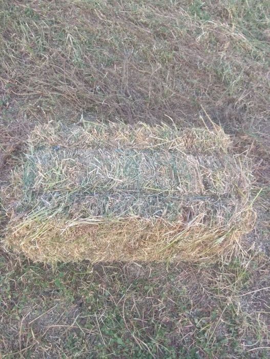 Пресс подборщик klaas