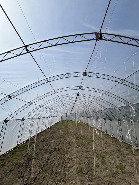Tunel foliowy 7,5m x31,5m folia 10 sezonowa