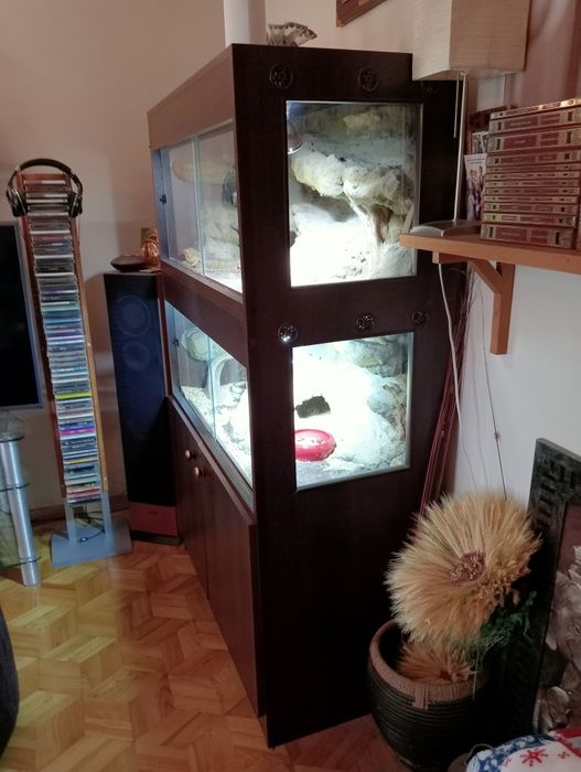 Terarium podwójne z szafką +Agamy