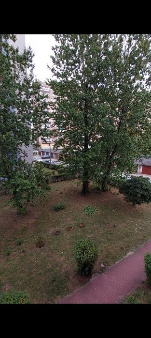 Zdjęcie 6