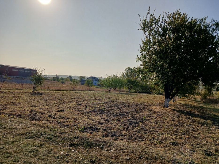 Продам земельну ділянку