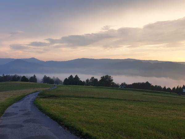 Domek, pokoje Agroturystyka pod lipą