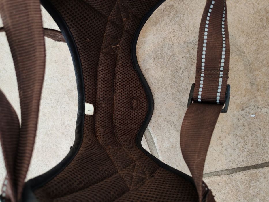 Corpete para cão. De porte médio "grande"