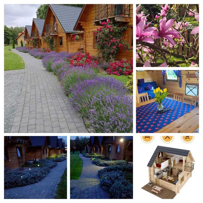 Noclegi w górach Domki Polanica Zdrój