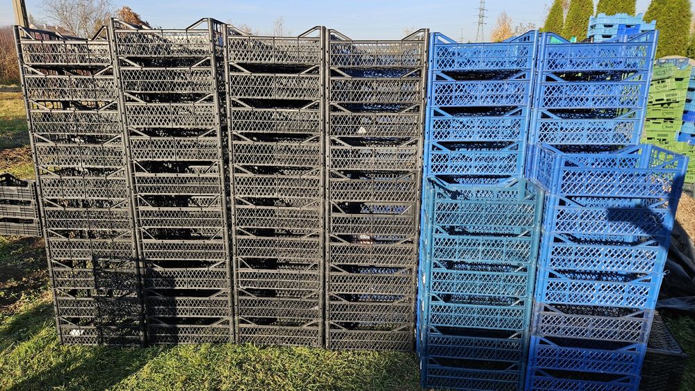 Skrzynki plastikowe duża ilość, dostepne różne wymiary