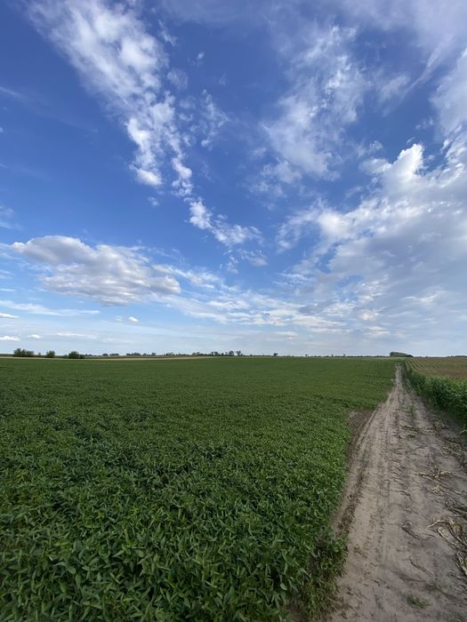 Продам земельну ділянку Обарів