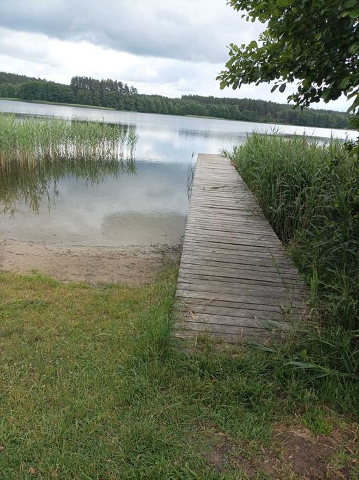 Wynajmę domek letniskowy nad jeziorem w Borach Tucholskich