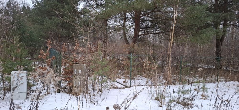 Działka Słowak bezpośrednio