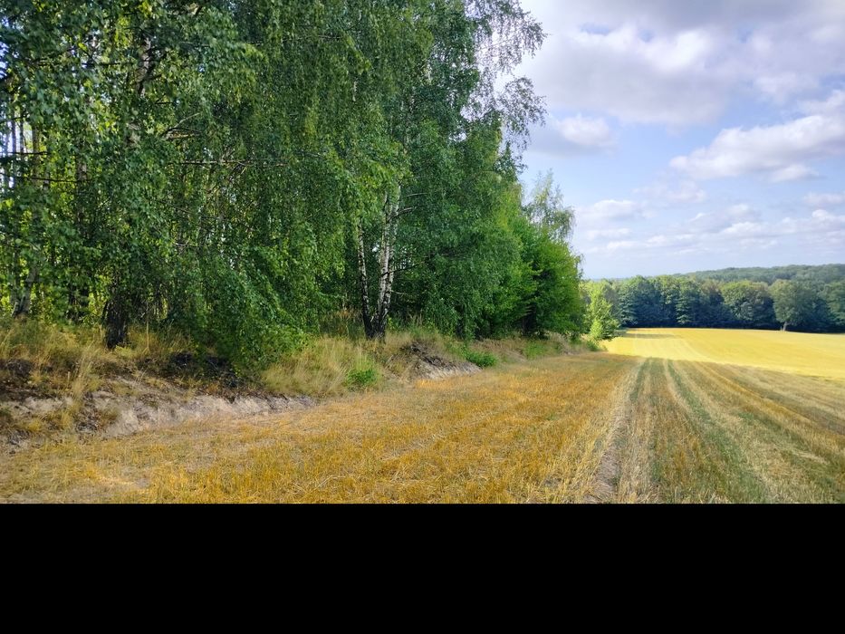 Przepięknie położona działka budowlana 2553 m² - Widok 5