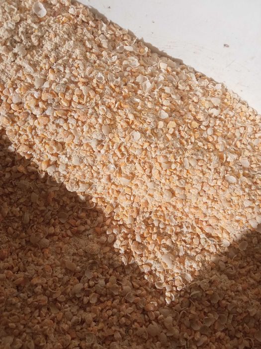 ŚRUTA GROCHOWA karma pasza groch