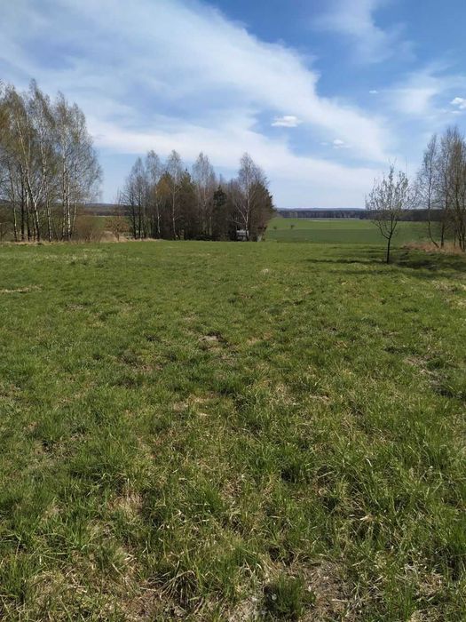 Działka budowlana Myszków 3942 m² spokojna okolica na jurze z potencjałem
