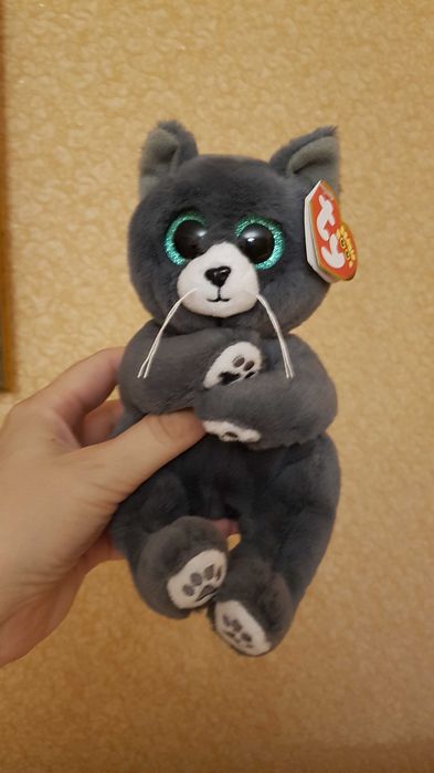 Ty beanie Ballies глазастик пепельный кот PAYTON 22 см