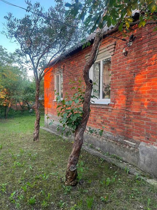 Продам дом в Березовке . Участок 22 сот. 2 вида отоп Отличная цена TB - View 3