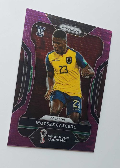 Moises Caicedo - Equador