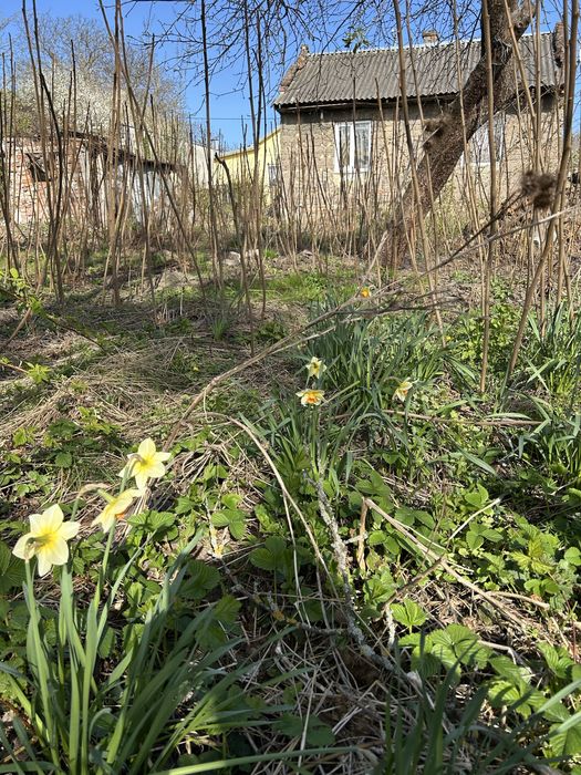 Продаж земельної ділянки під забудову. Сихівський район.