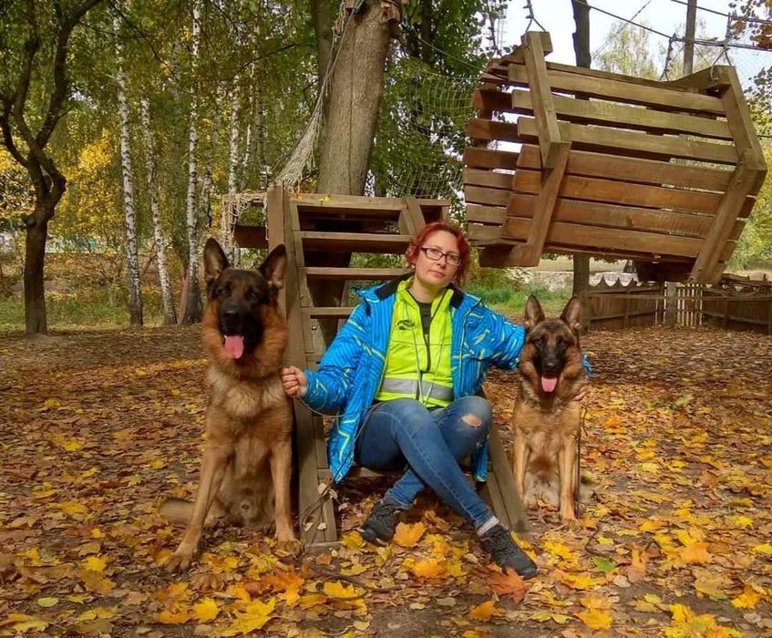 Цуценята Стандарт Розплідник