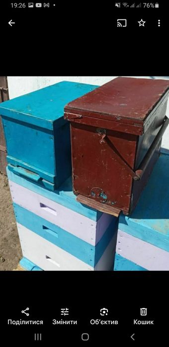 Продаємо бджоли, бджолопакети, матки, відводки.