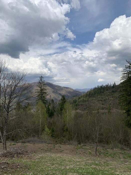 Продається земельна ділянка