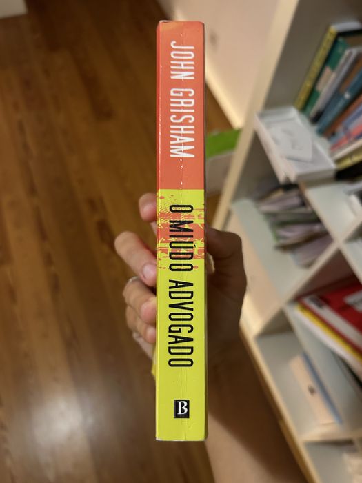 o miúdo advogado de john grisham