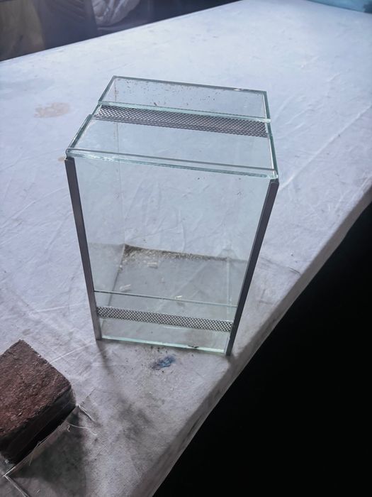 Terrarium dla patyczaków