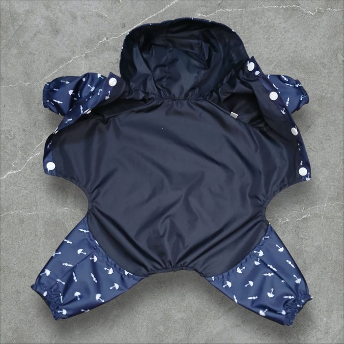 Дощовик для собак. Дождевик для собак. Дождевик